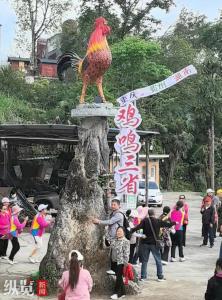 近千人遠程掃碼花2元聽公雞打鳴 娛樂項目意外走紅