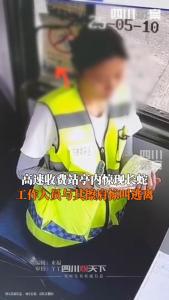 高速收費(fèi)站亭內(nèi)驚現(xiàn)長(zhǎng)蛇 收費(fèi)員尖叫逃離