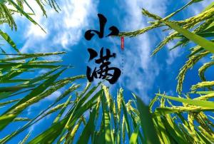 今年小滿有三大特征 3類(lèi)人記得少出門(mén) 關(guān)注健康與安全