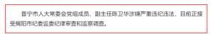 普寧市人大常委會副主任被查 涉嫌嚴重違紀違法