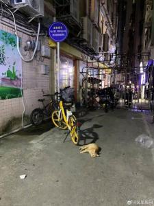男孩被親叔叔猥褻后，一個家族的集體沉默