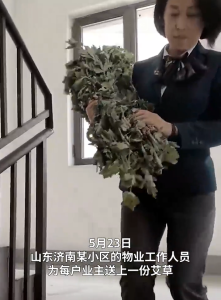 一小區(qū)為四千戶業(yè)主送艾草 端午未到“艾”先至！