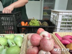 飼養(yǎng)員當(dāng)大廚 大熊貓吃上美味粽子 創(chuàng)意粽情溫暖國寶心