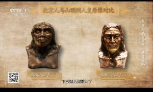 距今約3萬年的山頂洞人身高曝光 遠(yuǎn)古人類身高新發(fā)現(xiàn)