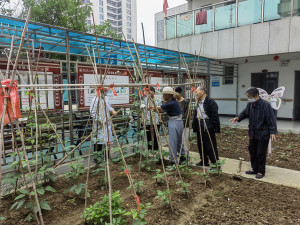 女子帶抑郁癥老兵一起種菜將其治愈 田園療愈的力量