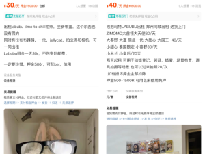 80元一天 LABUBU租賃成新生意 潮玩租賃風(fēng)靡閑魚