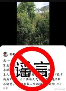 云南警方辟謠“果樹下現兩具尸體” 虛假信息被查處