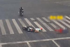 釀下慘禍！女子帶寵逆行狗子跳車引發(fā)交通事故