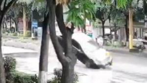 路面塌陷瞬間小車一躍而起逃過一劫 驚魂一幕嚇人