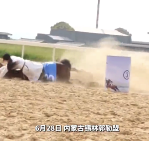 蒙古馬超級聯(lián)賽繞桶比賽上 女騎手失衡摔倒后瞬間鎖死馬背