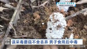 男子誤采蘑菇界死神不舍丟棄吃中毒 險釀悲劇