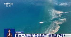 賽里木湖上的黃色泡沫原來是花粉海 獨(dú)特景觀揭秘