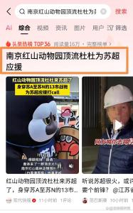 南京紅山動物園頂流杜杜為蘇超應援 嗨爆全場
