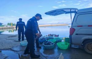 4人下海潛水電魚被當場抓獲 非法捕撈再遭嚴打