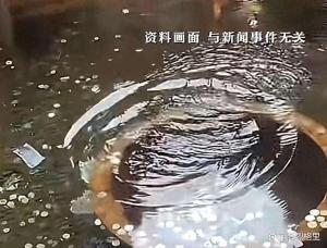患癌女童父親回應動物園捐款 愛心點亮希望