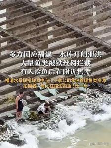 福建一水庫泄洪大量魚被網(wǎng)攔 生態(tài)與法律爭議引發(fā)關(guān)注