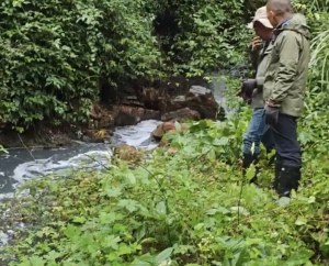 实探污染严重的长江支流孝子河 水体变色臭味浓烈！