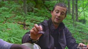 已经准备参加荒野求生第三季了 奖金提升引关注