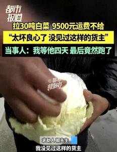 运费纠纷扣30万货货主司机各执一词 信任危机下的货运悬疑剧