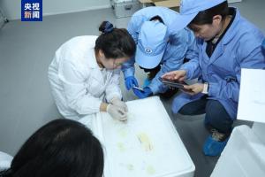 中国空间站第九批实验样品返回交付 多样本助力科研突破