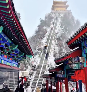 河南鹅毛大雪！河南2025年冬天第一场雪