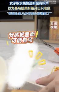 女子取快递听见鸟叫 拆箱窜出老鼠！