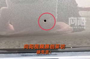 男子车停树下被虫蛀了4个洞