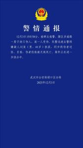 武汉持刀伤人案嫌犯落网 公共场所暴力事件再引关注