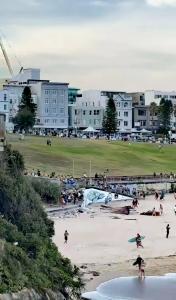 男子被误当成澳枪击案枪手遭拳打脚踢 英勇行为反遭误解