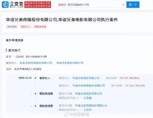 王忠磊王忠军被限高 华谊兄弟陷困境