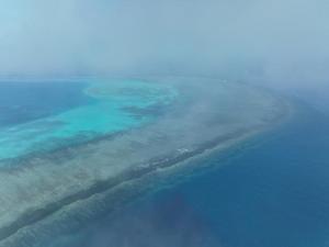 有关国家非法活动威胁黄岩岛生态 侵闯活动破坏严重