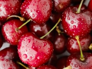 车厘子谣言合集！这些关于车厘子的说法千万别信