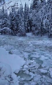 游客喀纳斯下河道拍照突遇流凌 险情中紧急撤离