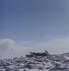 违规穿越鳌山失联4人：1获救2死1坠崖 搜救艰难进行