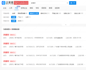 许家印被执行4700万 总金额超30亿