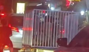 柬埔寨街头“狗笼运活人”视频疯传 真相揭秘