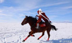 贺娇龙因意外事故逝世 坠马不幸离世