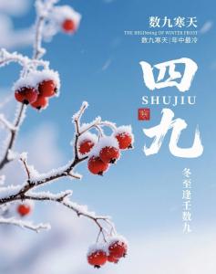 今日四九 最不能做4件事 养生四忌讳