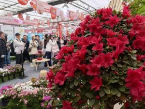 北京首发花卉价格预警系统，3.7亿条数据包让你买花不贵 精准预测稳定市场