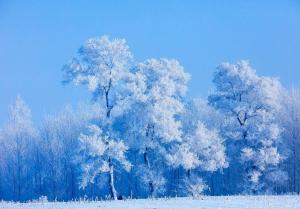 今日大寒 要做这些事 积蓄温暖力量