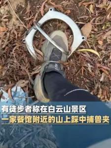 景区踩到捕兽夹女子发声 已报警并加强巡查