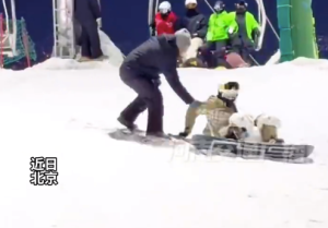 游客下缆车花式摔倒 大爷：扶不完，根本扶不完