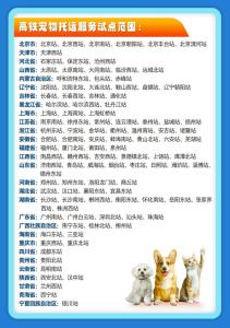 北京六座火车站解锁春节带宠回家新方式 高铁宠物托运扩至110站