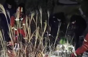 父母带娃爬野山孩子坠崖 未开发山区隐患多