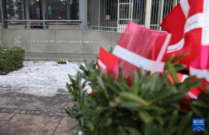 丹麦老兵被特朗普气到无语 无声抗议表不满