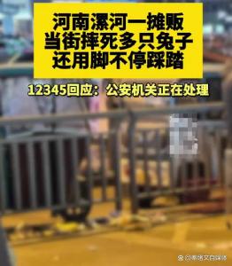 当街摔死多只兔子摊贩被行拘5天 残忍行为引发公愤