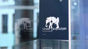 欧洲是否觉醒还要看实际行动 口头表态需转为实际步伐