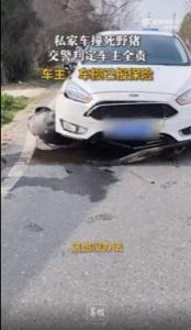 私家车撞死野猪 车主被判定全责 无奈接受结果