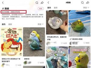 女孩们捧红“鸟鸟教” 催熟百亿市场 她经济引领变革