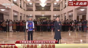 女孩回老家把祖屋改造成雨林民宿！人大代表一句话介绍雨林的宝贝